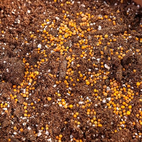 Proven Winners Premium Continuous Release Fertilizer, 2.5 lb. Container