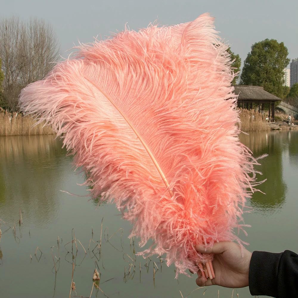 Piume di struzzo naturali nere da 10-55 cm per accessori da cucito per abbigliamento, decorazioni per feste di nozze, decorazioni per la casa - Rosa gambero - 50-55 cm