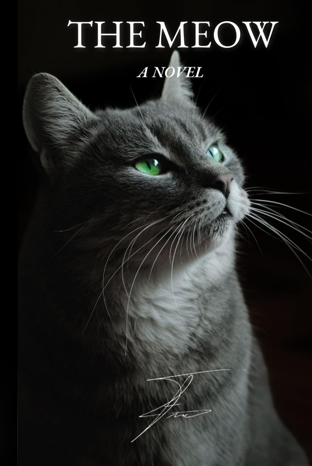The Meow: A Book for Cats – 100 Pages of Fun | The Perfect Gift for Cat Lovers and cats | The best Novel for your cat