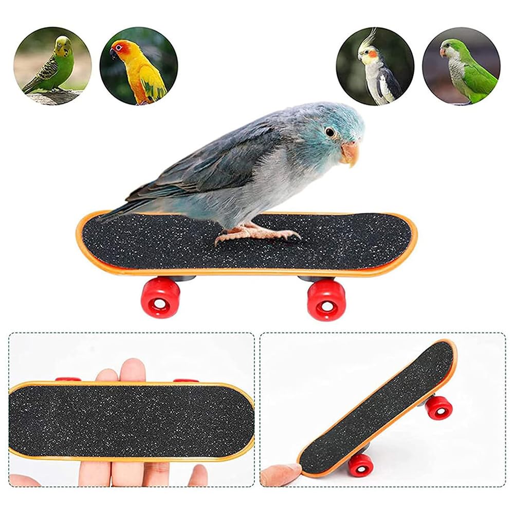 Hsthe Sea 4 Pcs Parrot Chew Bird Bauble Ring Basketball Hoop Skateboard Set for Budgies Cockatiels Parakeets Bird To-y Accessories - Image 3