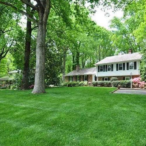 Miniatura 2 de Outsidepride Combat Extreme Turf Type Fescue - Mezcla de semillas de césped para zona de transición, 25 libras