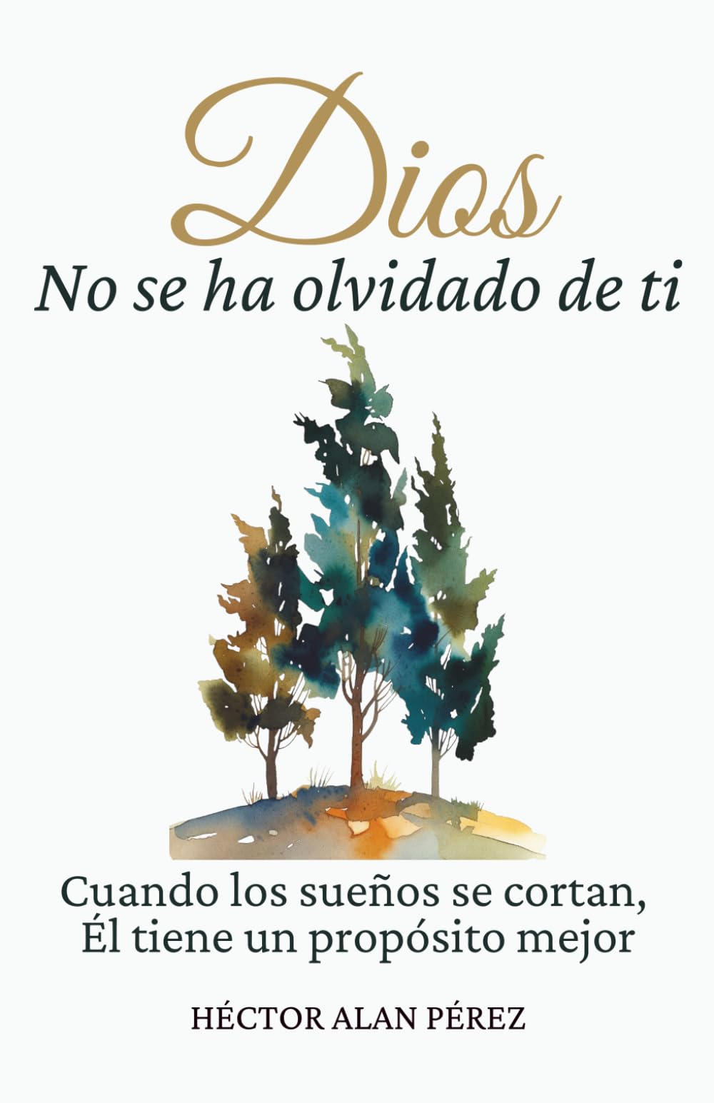 Dios no se ha olvidado de ti: Cuando los sueños se cortan, Él tiene un propósito mejor