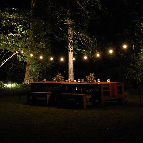 Miniatura 6 de LumaBase Guirnalda de luces eléctricas para café con 10 tonos de metal de bronce