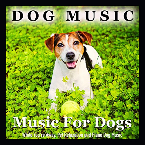The Best Music for Dogs