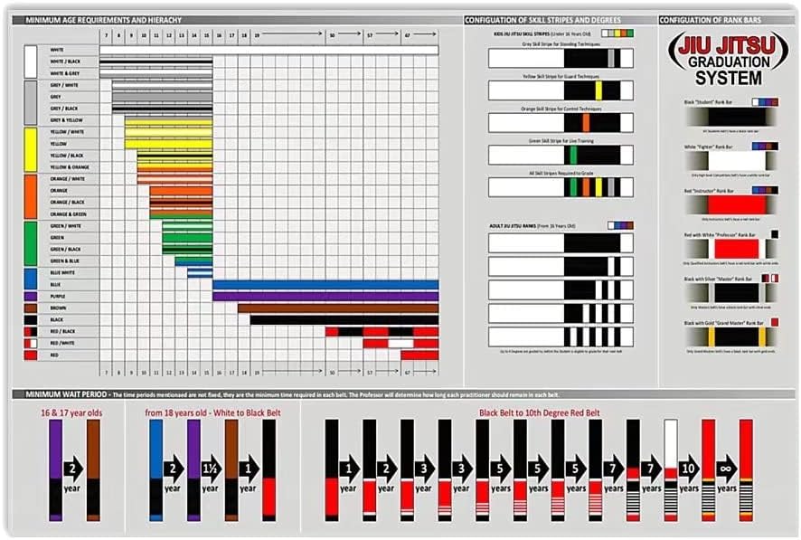 Amazon.com: 8x12 IN Jiu Jitsu Knowledge Posters Jiu Jitsu Graduation ...