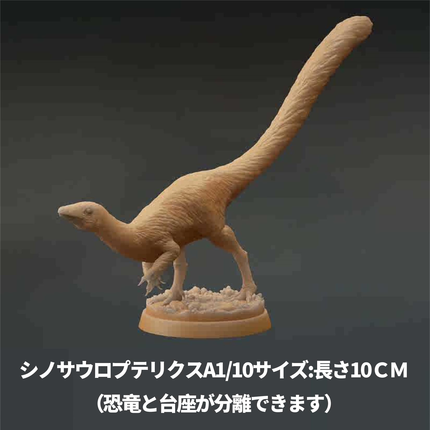 Amazon.co.jp: BACALYSO | 1/10 シノサウロプテリクス フィギュア 10