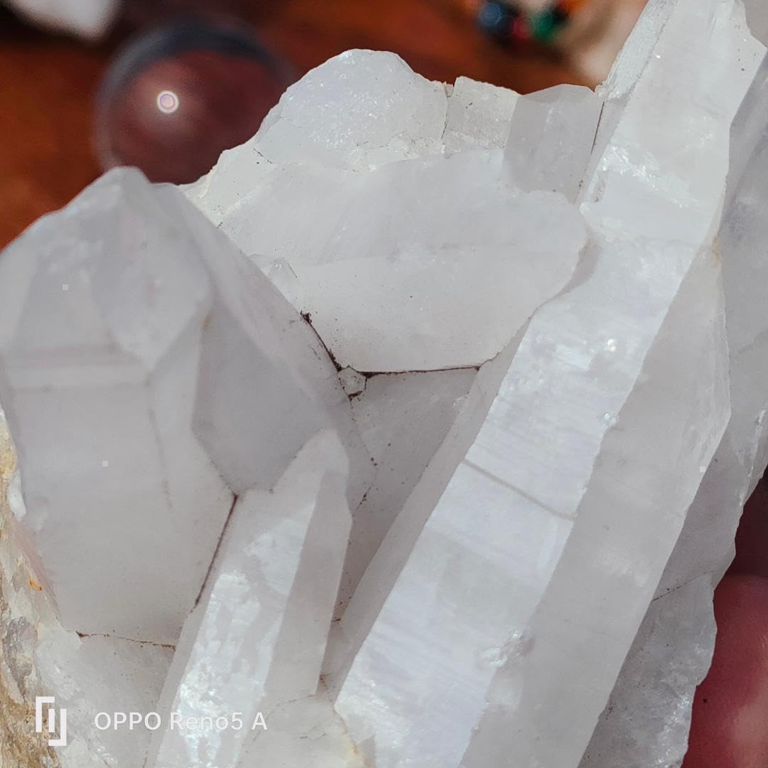 マダガスカル産　レムリアンクラスター　水晶クラスター 高品質]マダガスカル産水晶クラスター/クリアピンク（原石774g