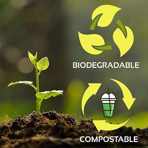 Miniatura 4 de Planet+ Tapas de ácido poliláctico 100% compostables para vasos fríos transparentes de 9/12/16/20/24 onzas, estilo plano, estuche de 1000 unidades