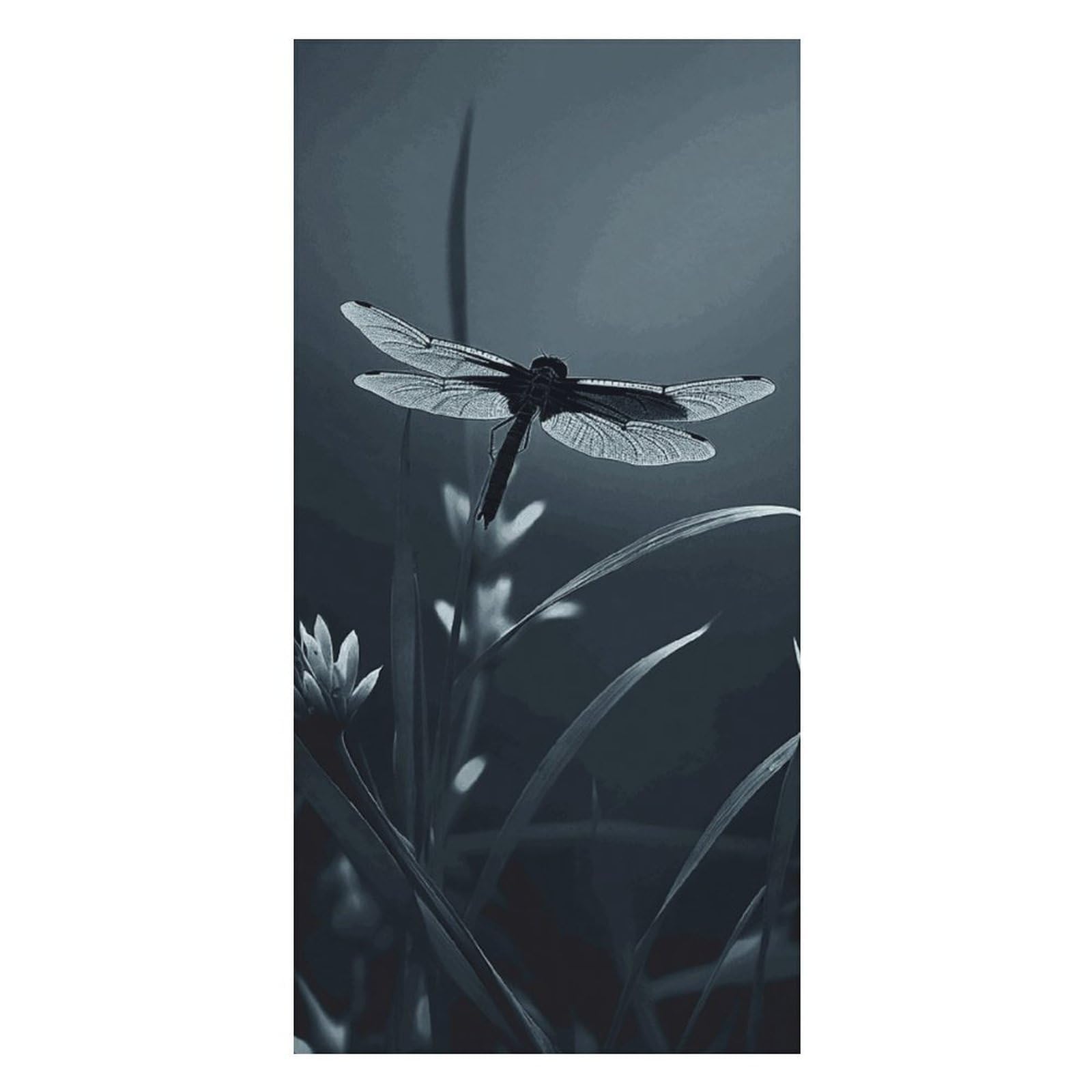 Dragonfly Silhouette Beach Towel Extremely Soft Oversized Towels Lightweight Sports Absorbent Bath Towel Suitable 160"x80" for Swimming Camping Beach