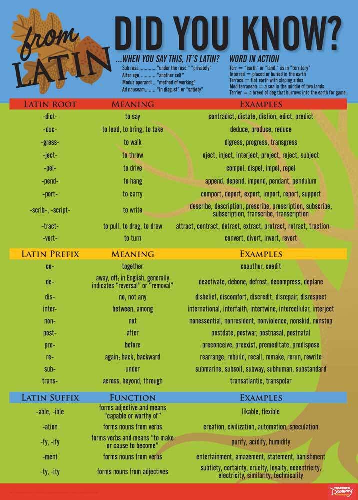 Latin Language Common Roots Poster Y