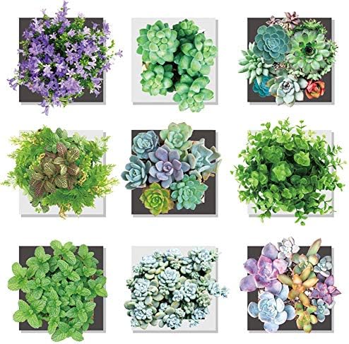 iwallsticker 27 28inch Succulent Plant Wall Sticker Green Quotes Potted Cactus Wall Decal Vinyl Stickers for Living Room Kitchen Nursery Bedroom Wallpaper