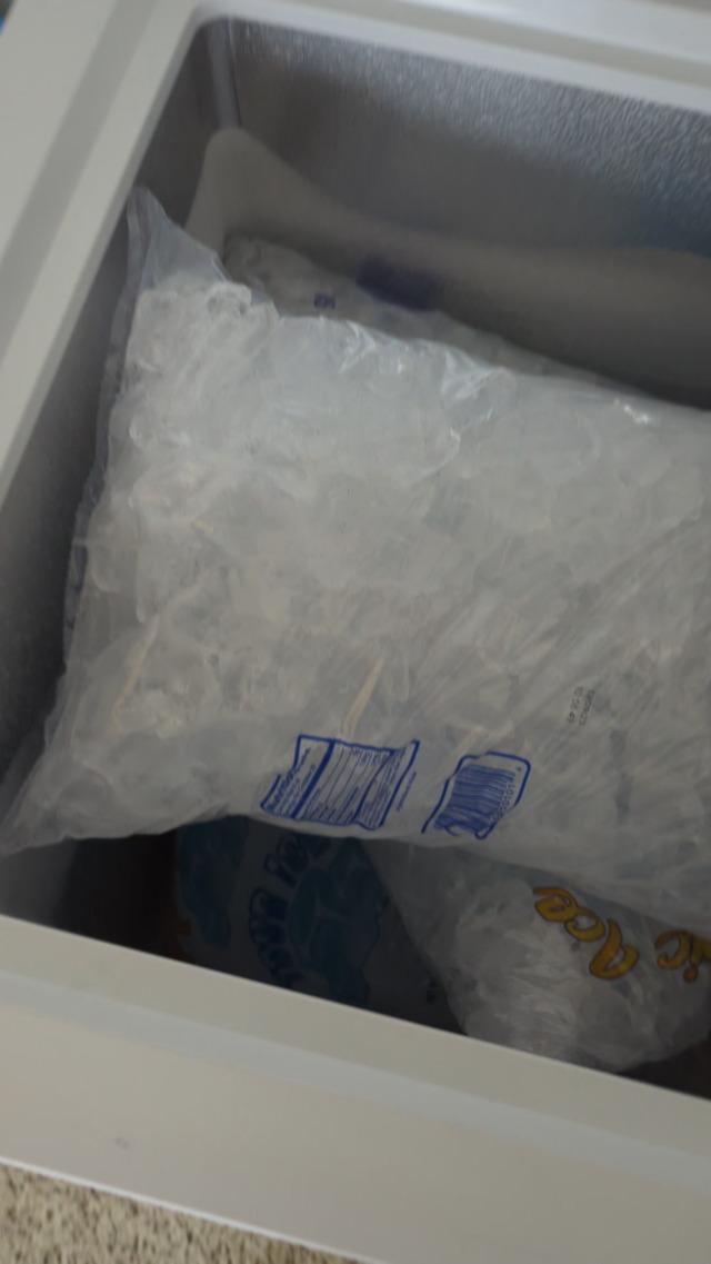 Honest Review of Compact Chest Freezer