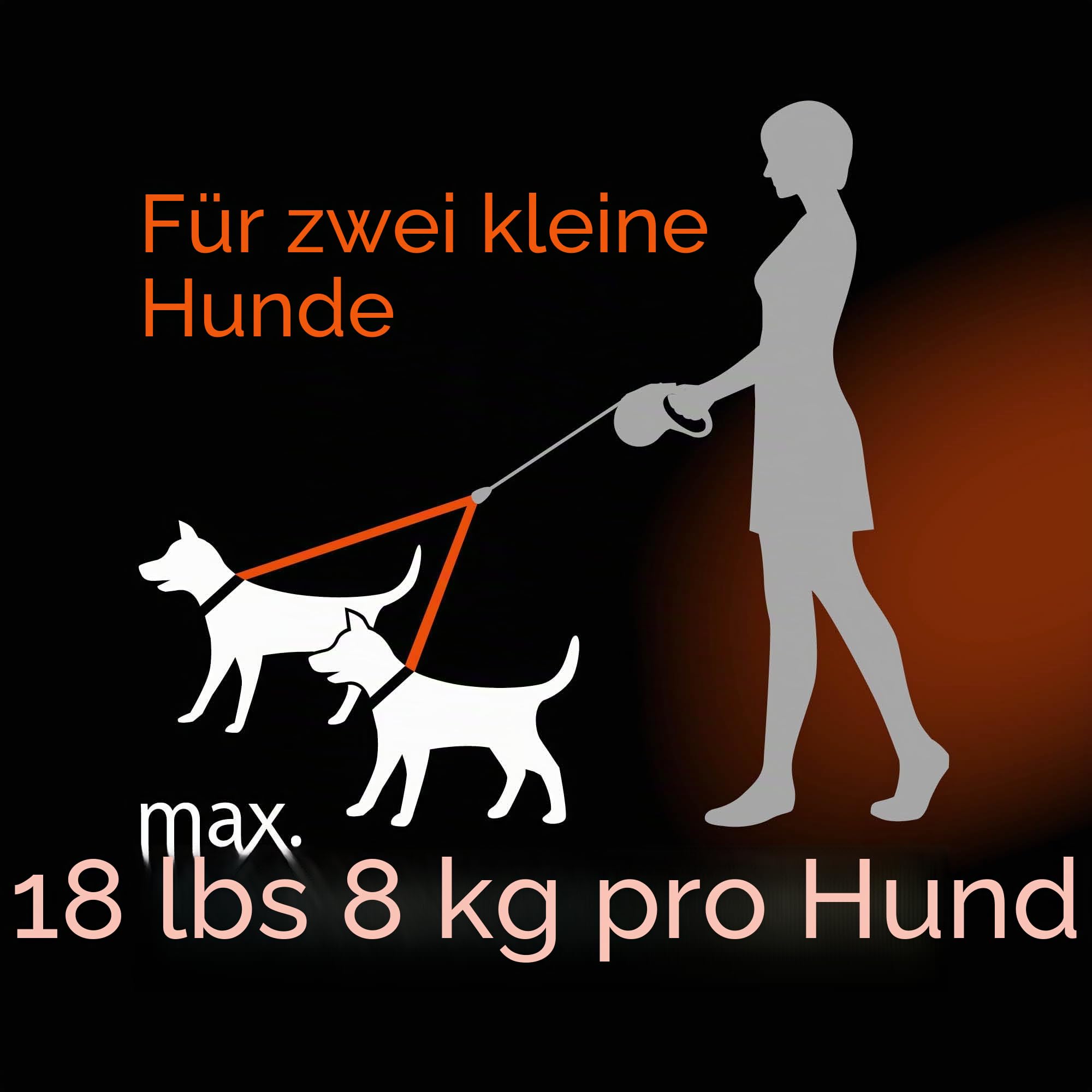 Flexi New Classic Retractable Cord Dog Leash Duo for 2 Small Dogs 16-Foot Black