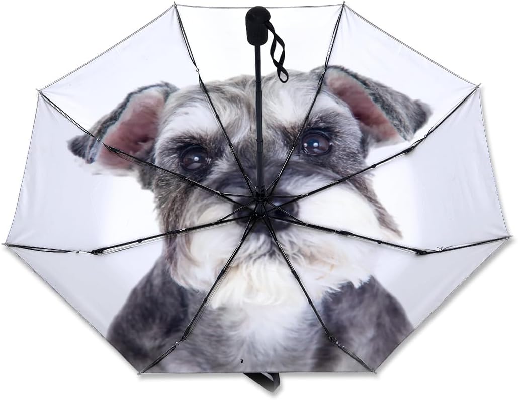 三毛ネコチャンのピアス*【No.257】 最新