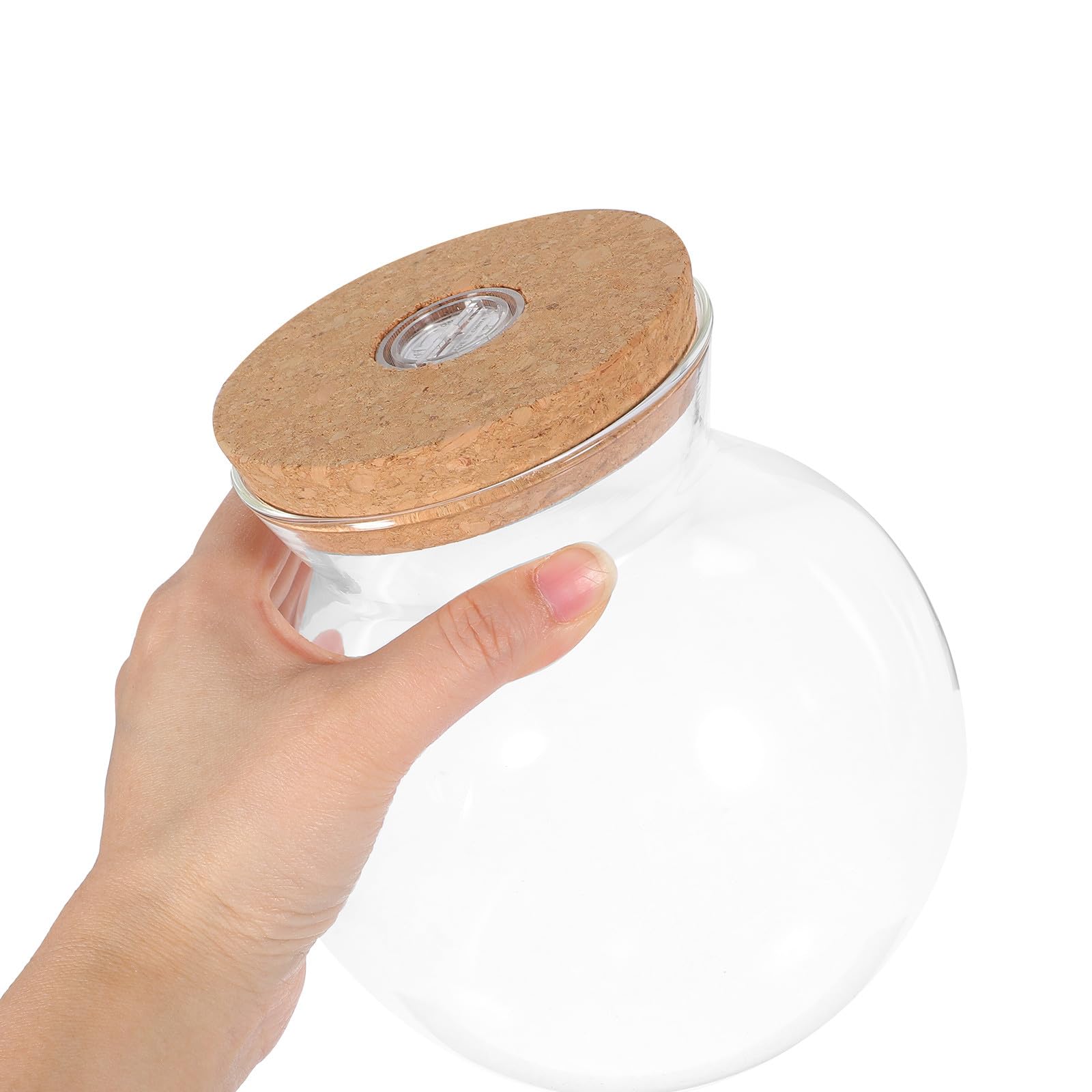 Abaodam Terrario in Vetro con Base a Luce Led, Piccolo Contenitore per Piante da Interno, Kit Fai-da-te per Micro-ecosistema Paesaggistico da Scrivania.