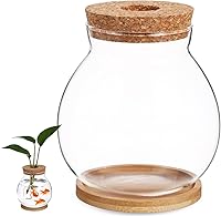 Vista 1 de Balacoo Pescadera hidropónica de escritorio, pecera de vidrio transparente con cojín de bambú y tapa de madera, pequeñas plantas de peces betta