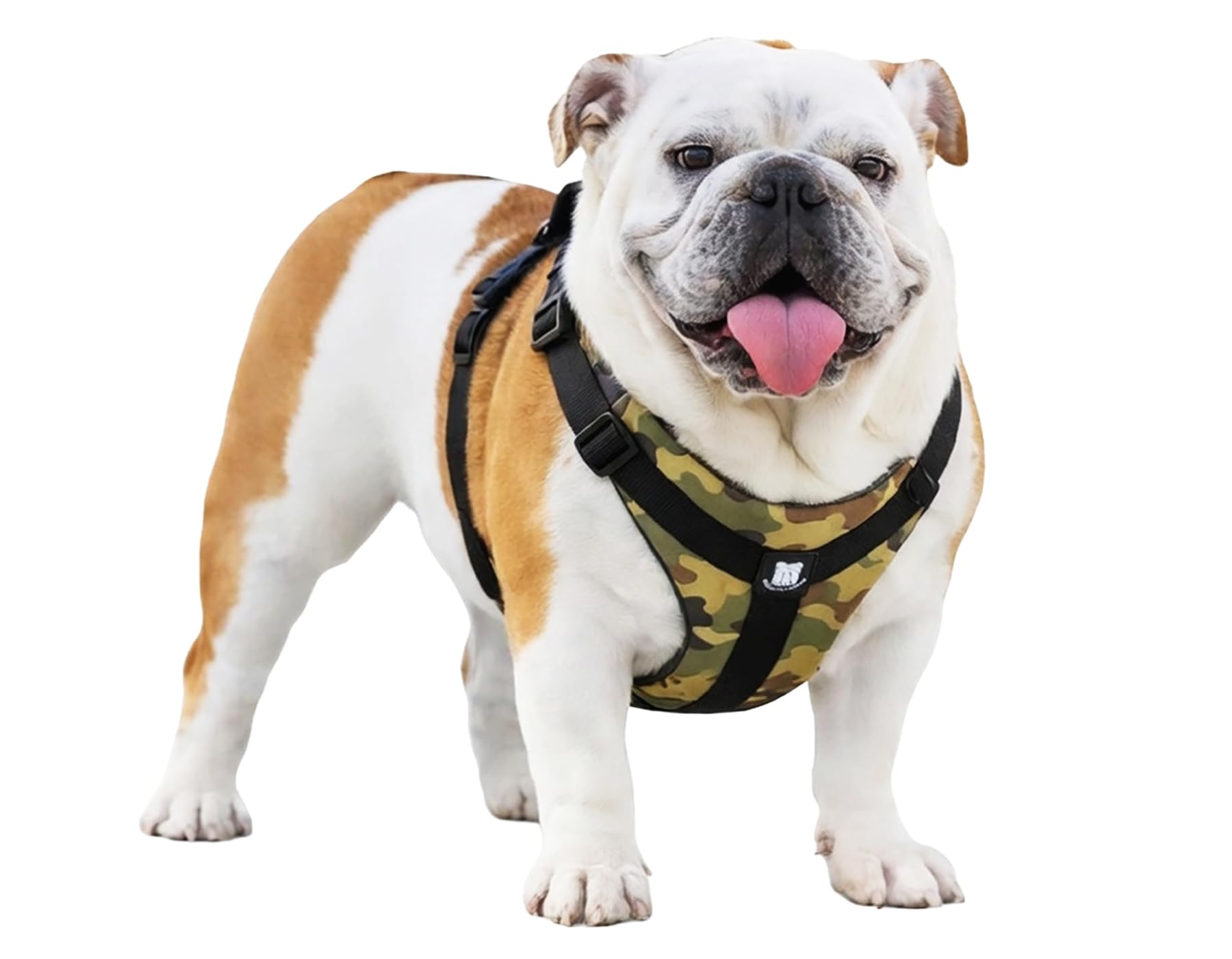 Bulldog Grade No-Pull Harness in K9 Khaki Camo