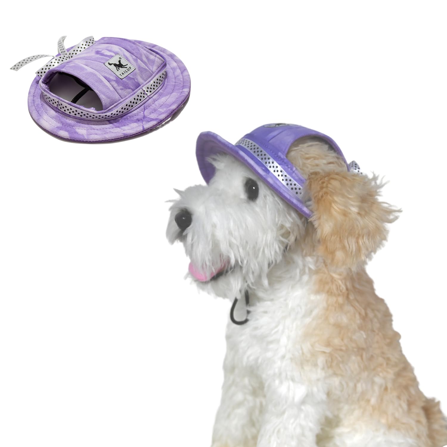 Casquette pour chien violette pour choyer votre chiot et partager des moments complices