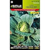 Semillas de Col repollo Corazón de buey sel. Mitra