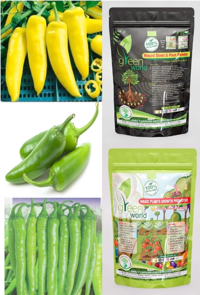 Green World Combo of [CHILLI F1 VASUDHA + CHILLI CRPTON + CHILLI HOT YELOW DESIRE] Seeds With Organic Nutrients Manure (B0B3VYKPS3) Amazon Price History, Amazon Price Tracker
