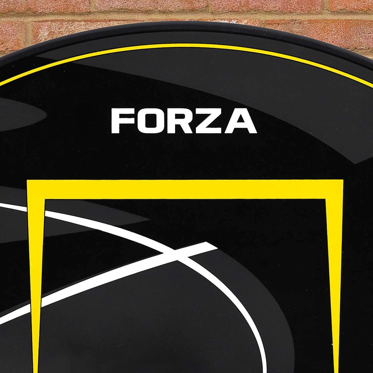 FORZA Panneau et Anneau de Basket-Ball à Fixation Murale | Taille Standard et Mini | Entraînement Intérieur et Extérieur