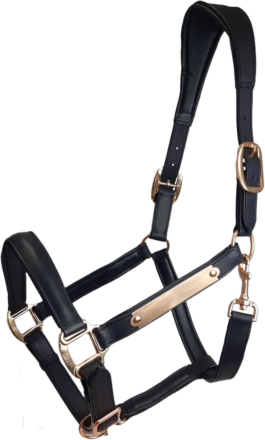 All Sides Padded Curved Design Horse Leather Halter with Brass Name Plate
