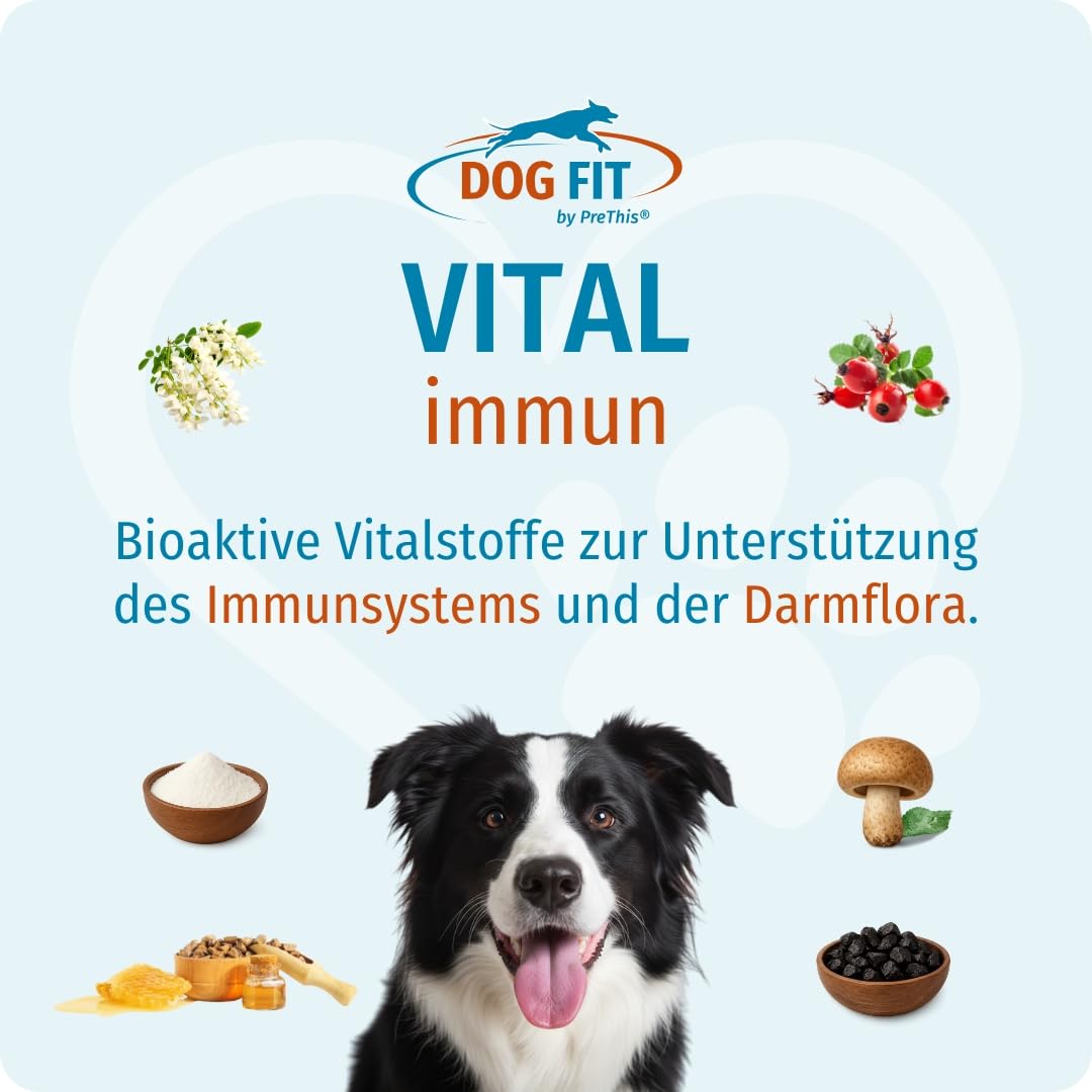 DOG FIT by PreThis® VITAL immun für Hunde I Mit Colostrum, Agaricus Blazei Murrill, Hagebuttenextrakt, Shilajit, Propolis I Ohne künstliche Zusätze I medium 10-25kg