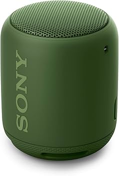 Amazon.co.jp: ソニー ワイヤレスポータブルスピーカー 重低音モデル