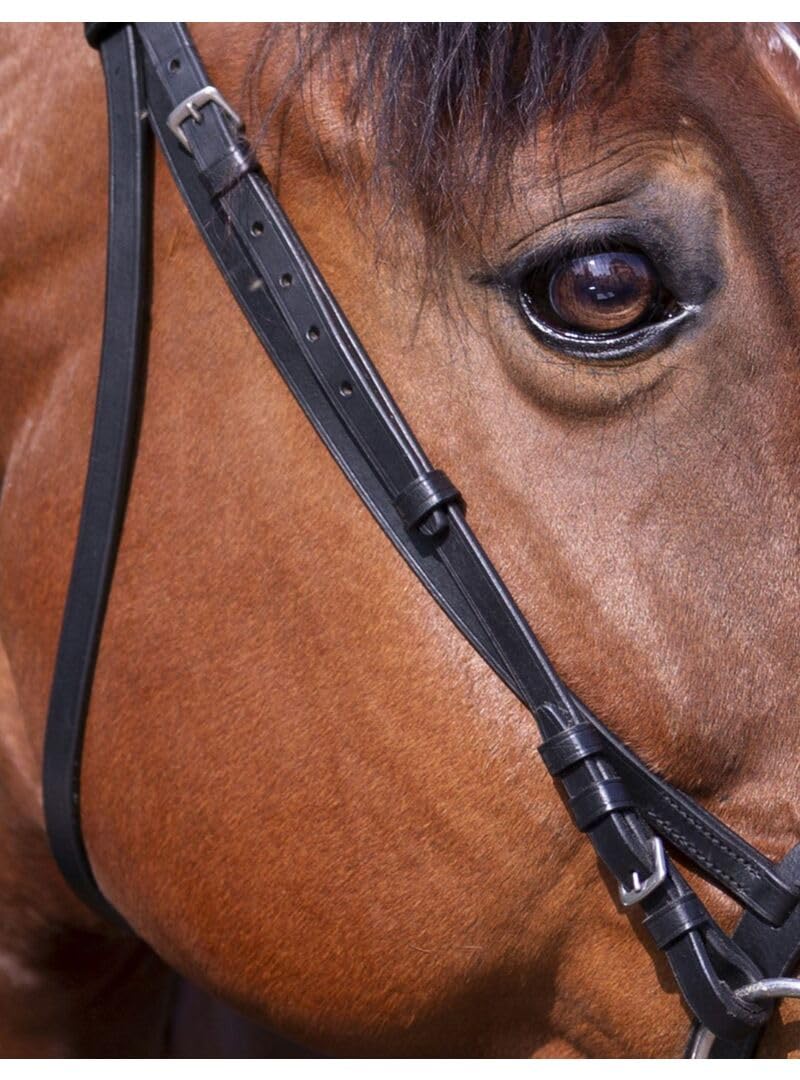 Riding World Trensenzaum Nasenriemen Französische Pony Schwarz
