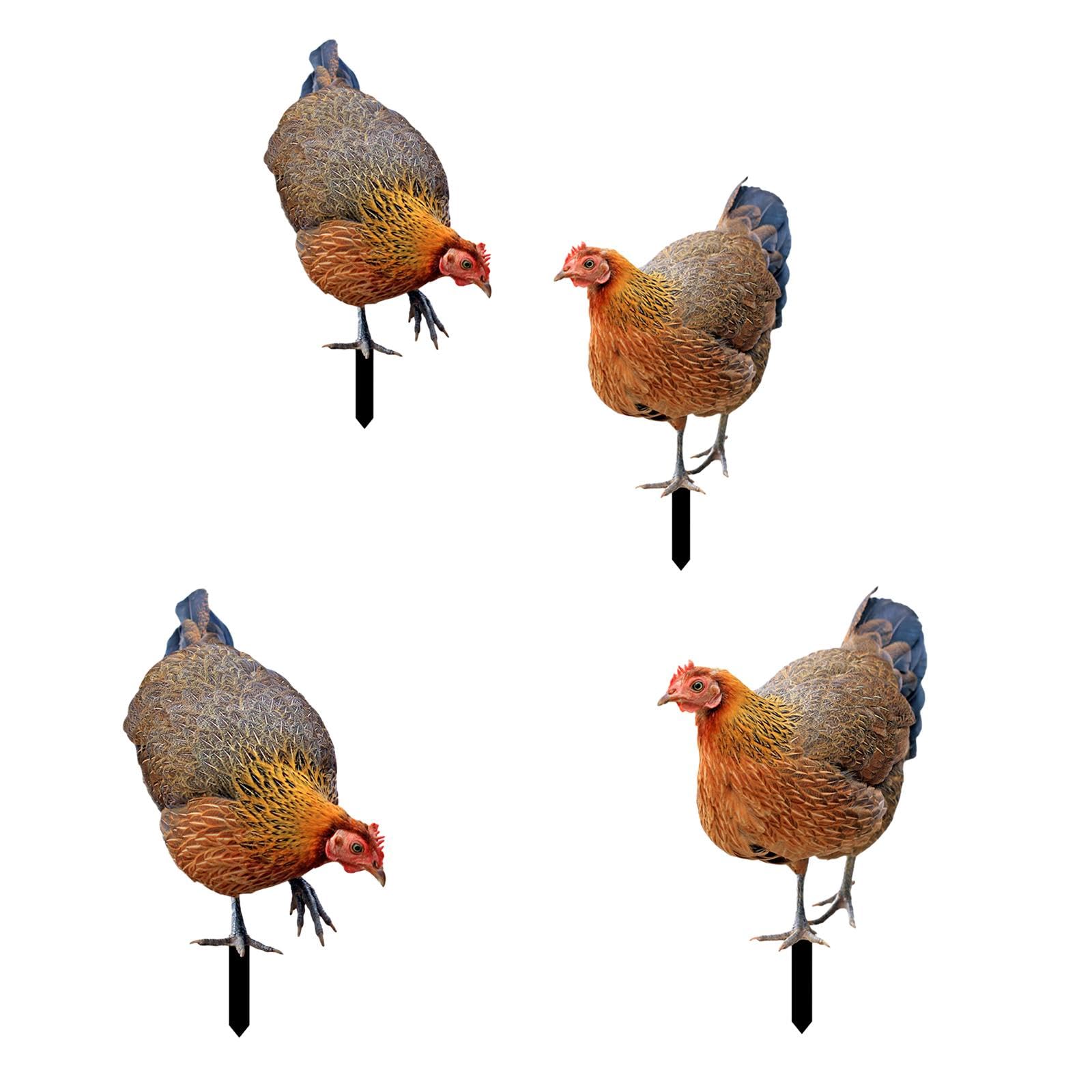 Animal Statue Stakes Realistic Chicken Sculpture for Patio Pathway Lawn Yard A-image-49