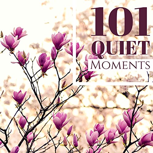 101 Quiet Moments Songs for Miraculous Therapy, Finding