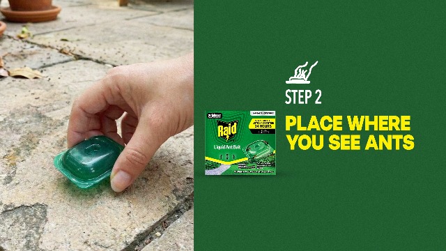 Image of Raid Outdoor Liquid Ant Bait, Starts Killing Listed Ants Within 24 Hours, Effective Outdoors, Pre-Filled and Ready-To-Use - 4 Count