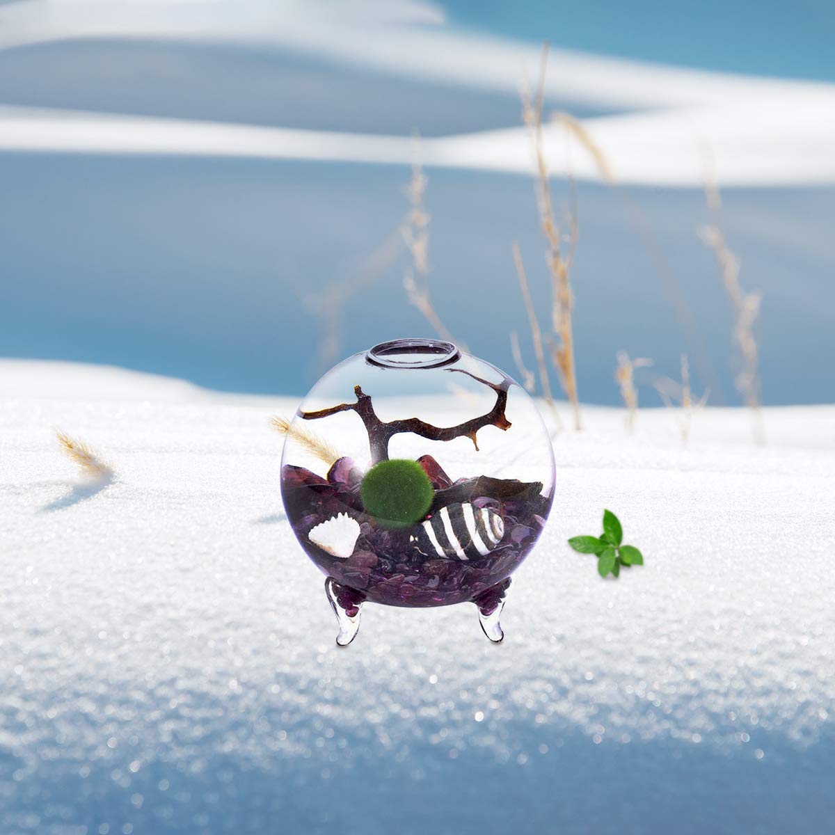 Wasserkugel-Aquarium-Set, Glasvase mit Füßen, lebende Moosbälle und Fächer (6,4 cm x 6,5 cm, Stil I)