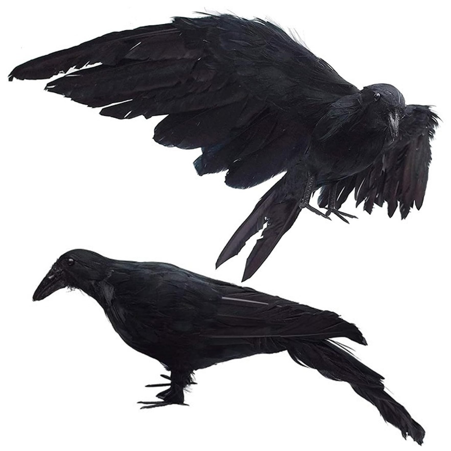 Xdyyjrasa Crow - 2Pcs 13x5.5 Realistic Raven Decor with Removable Wing, Halloween Decoration