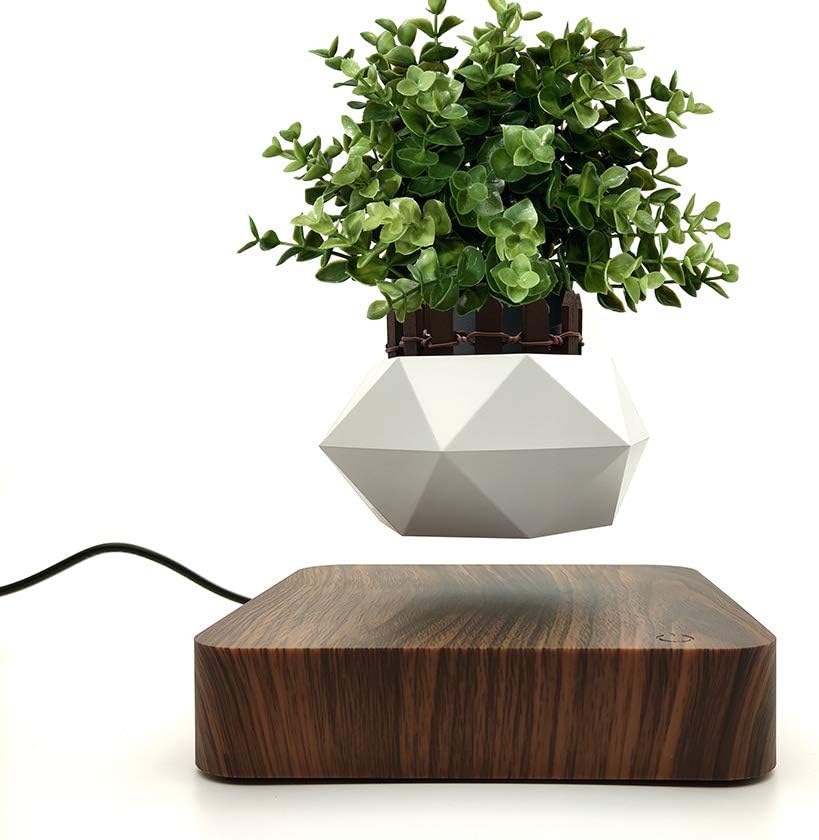 Buy Jasis Woo Creative Levitating Air Bonsai Pot Rotation Planters