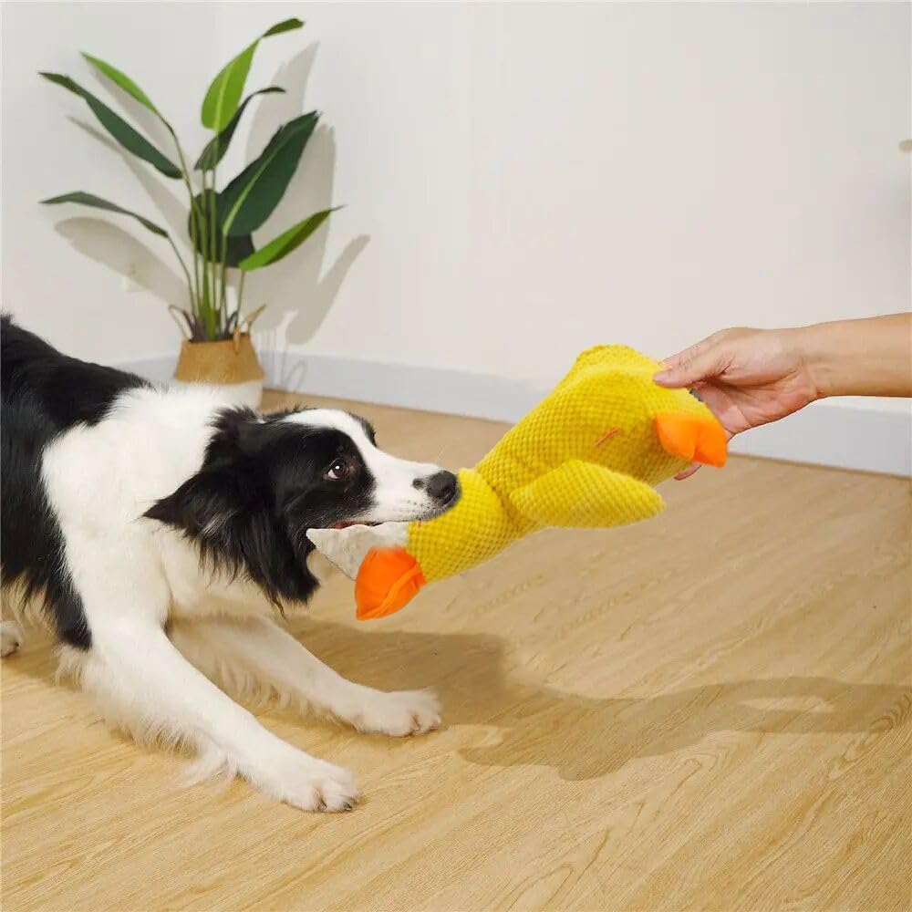 2x Anti-Stress Ente Hundespielzeug - Quietschend Für Mentale Gesundheit