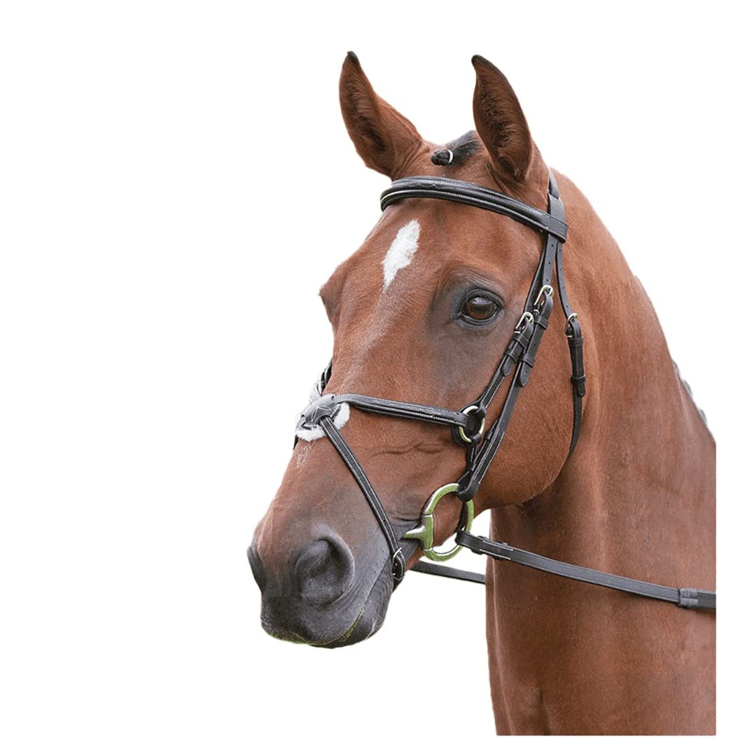 Shires Salisbury Brackley Pony/Horse Bridle - Black: Pony