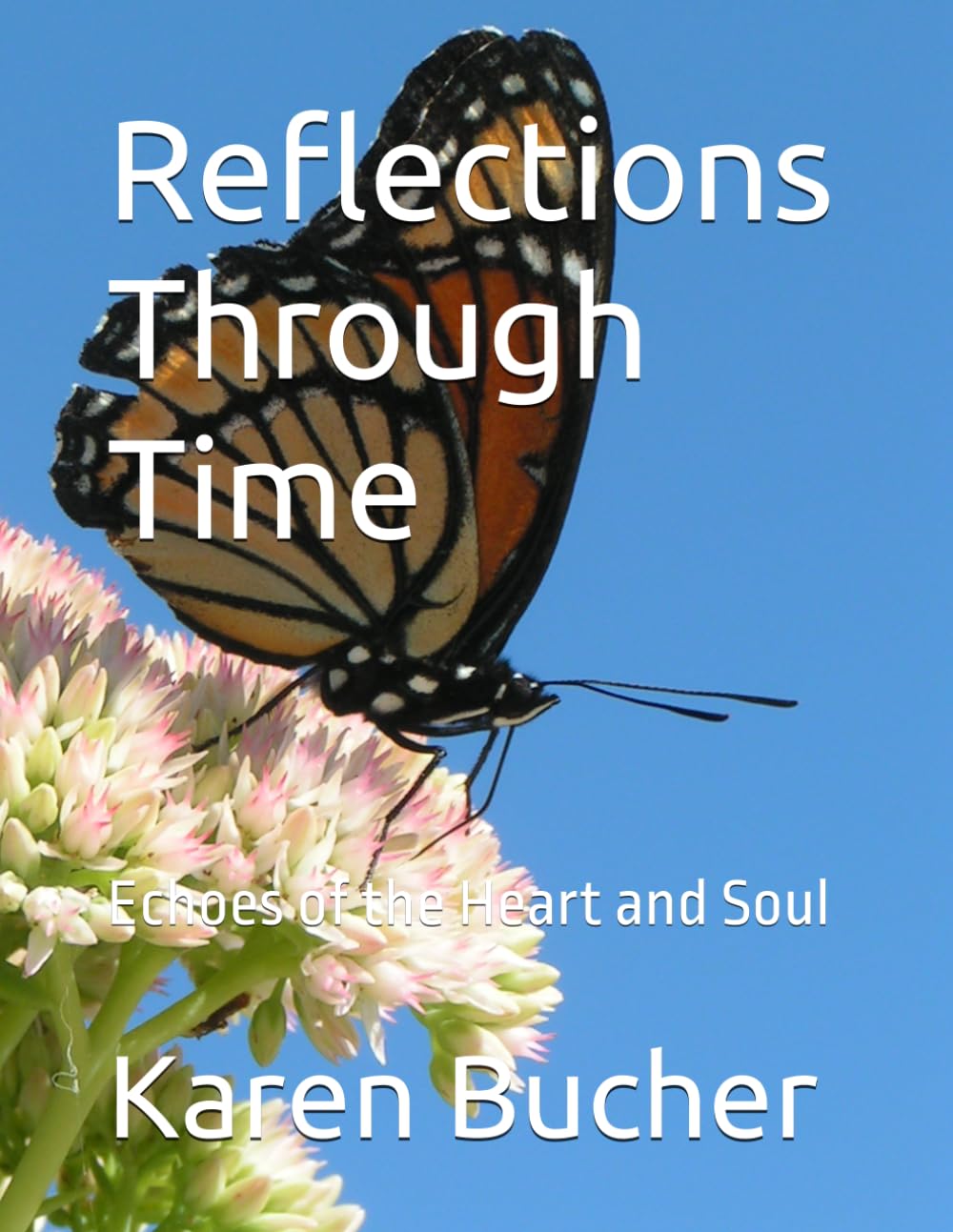 Reflections Through Time: Echoes of the Heart and Soul