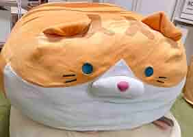 ごろ猫 61N4-totzzL._AC_SY200_QL15_.jpg