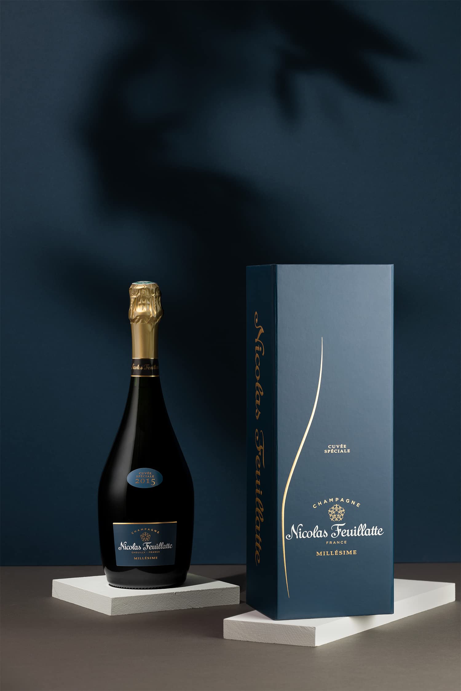 Champagne Nicolas Feuillatte - Cuvée Spéciale brut millésimé,75cl
