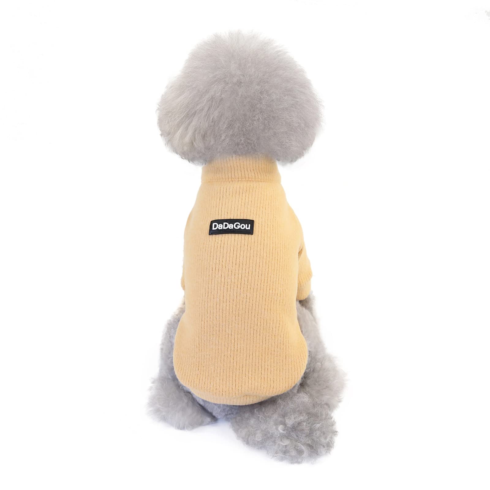 Vêtements pour chiens chauds pour balades d'automne et d'hiver