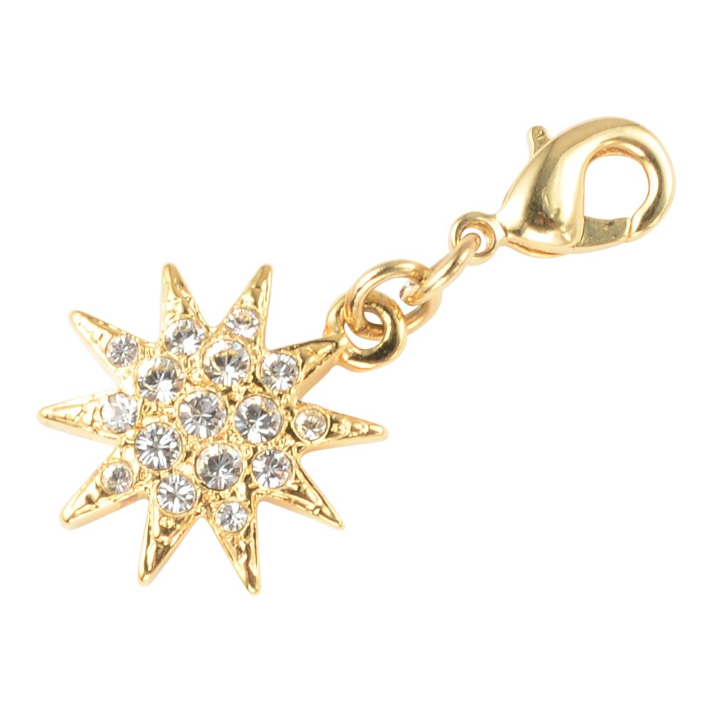 Amazon | エリザベート ジュエリー ペンダントトップ ゴールド