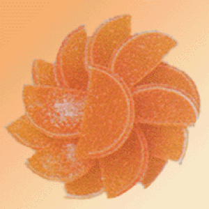Fruit Slices Orange