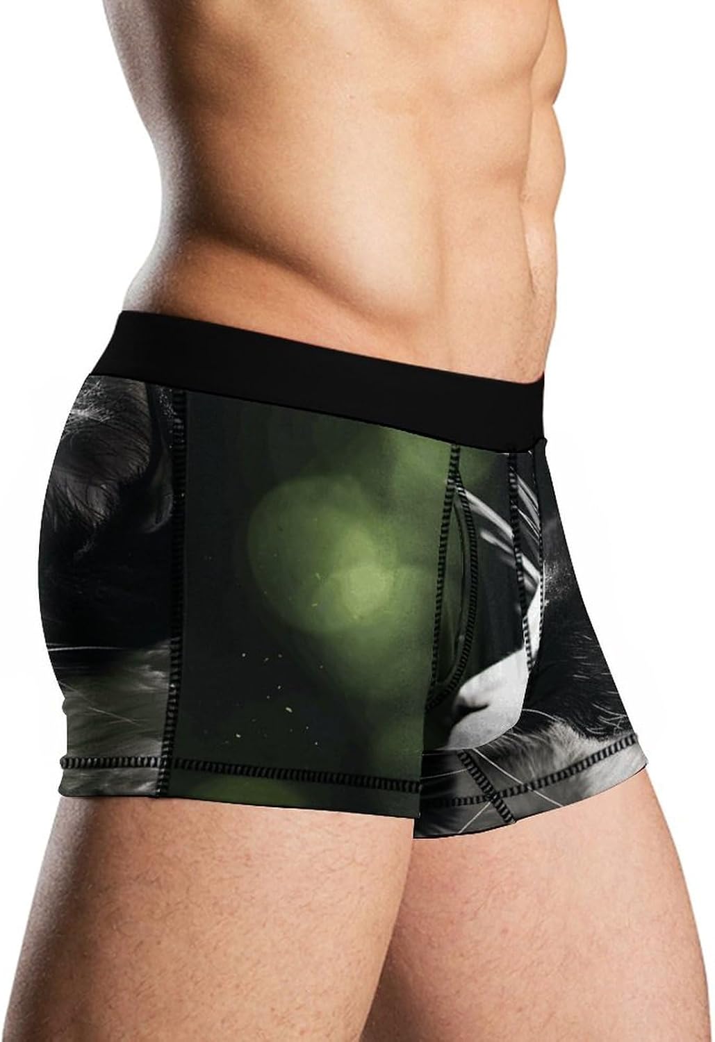 A Black And White Cat Mens Boxer Briefs Short Breathable Underwear Trunks Soft Moisture-Wicking Boxer Shorts Novelty Underpants 2XL