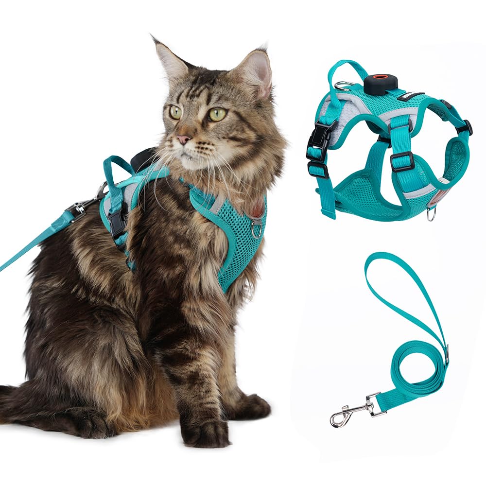 Cat Harness and Leash Set With AirTag Holder, Upgraded Escape Proof Adjustable Kitten Vest with Lead for Small Cat Outdoor Walking, Soft Breathable Mesh Jacket with Reflective Strips S, Teal Blue — image 1