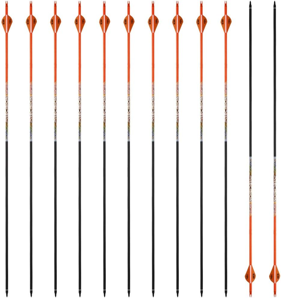 PANDARUS Pure Carbon Free shipping / New Arrows 32 for Hunting Inch 30