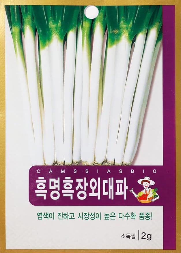 Green Onion Seeds, Vegetable Seeds, 2g, 1 Pack 대파 채소 씨앗