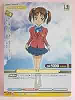 プリズムコネクト　ふたりはプリキュア はプロモ　PR-007　BGS8点 Amazon.co.jp: 伝わる友情 雪城 ほのか&九条 ひかり 01-043