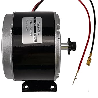 AeKeatDa 24V Permanent Magnet Electric Motor Generator 250W Small Brushed Permanent Magnet