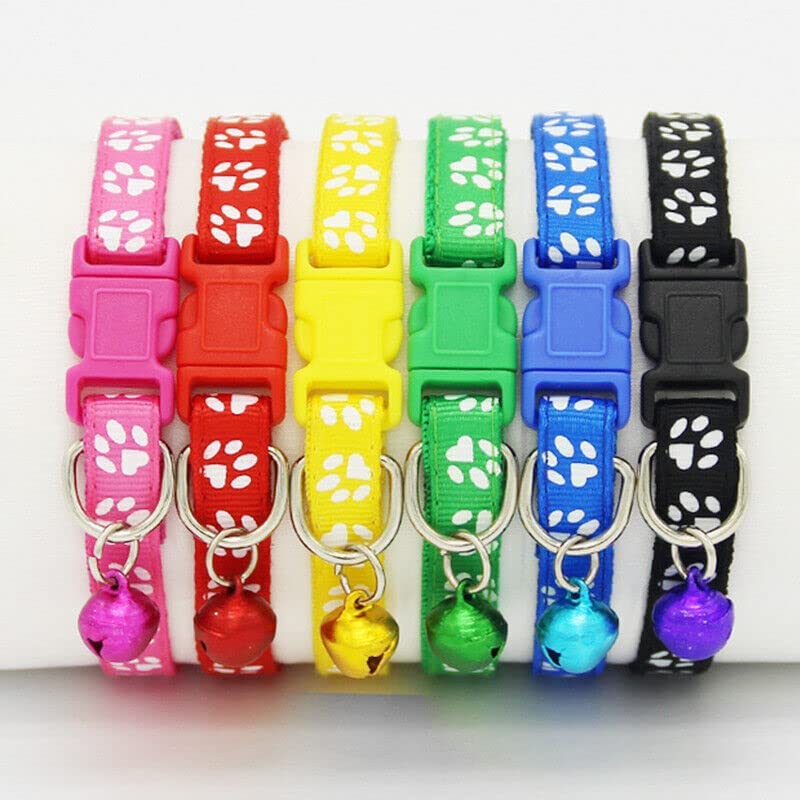 Dog Trust Nylon Adjustable Dog Collar Neck Band Colour May Very Panja Print 10 Mm Collar For Dogs Pack Of 1 Pcs Color May Vary (B0BYDQ2H12) Amazon Price History, Amazon Price Tracker